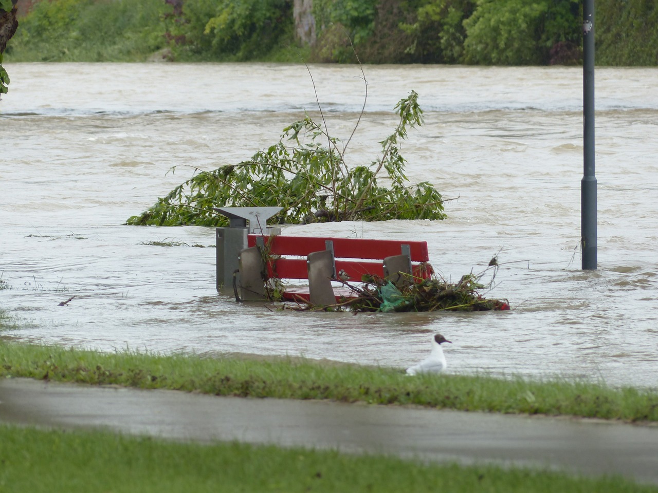 Disaster Preparedness for Chronic Disease Patients